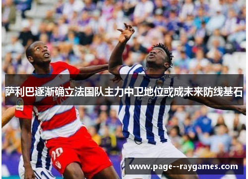 萨利巴逐渐确立法国队主力中卫地位或成未来防线基石